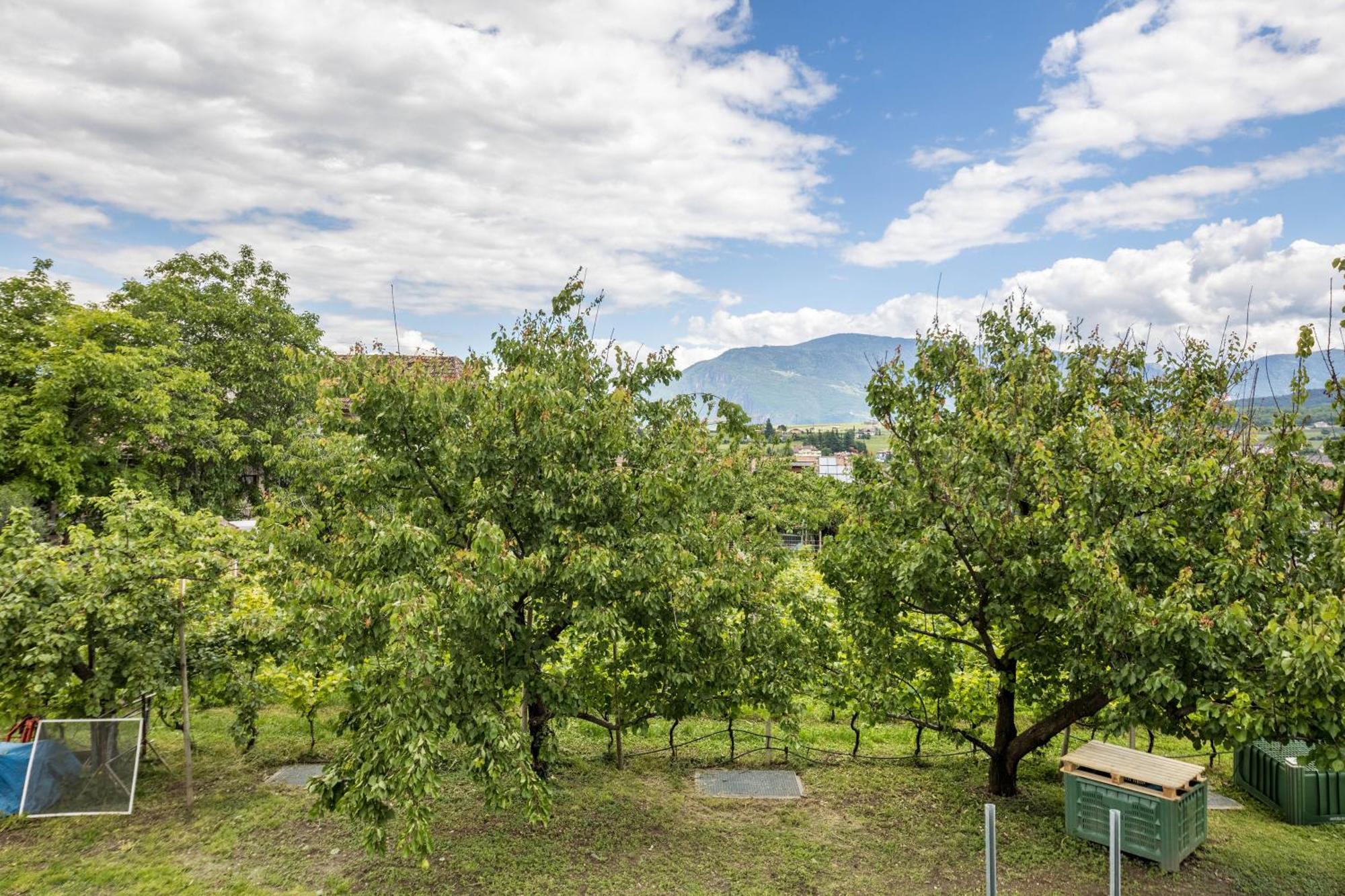 Angerblick Apartment Eppan an der Weinstraße Exteriör bild