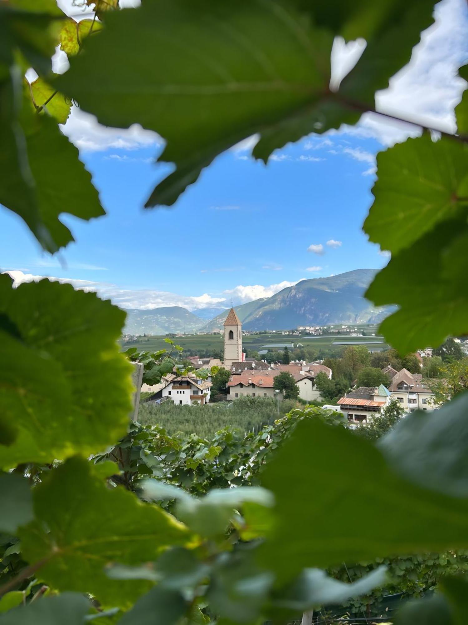 Angerblick Apartment Eppan an der Weinstraße Exteriör bild